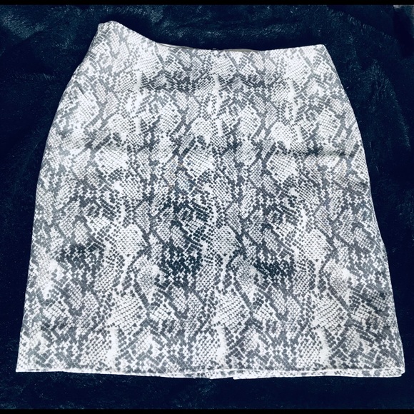 Snake Print Mini Skirt - Picture 1 of 5